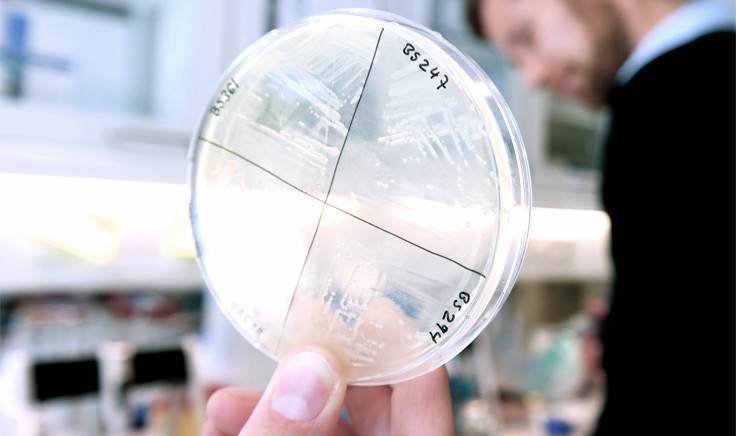 blog_biosyntia2