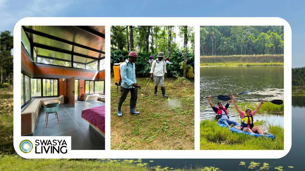 Discover Managed Farms and Their Benefits.