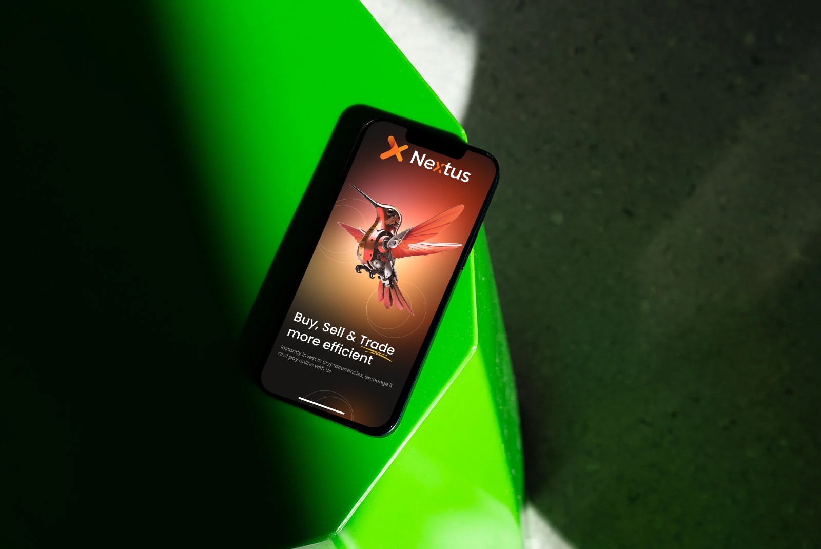 Woman In The Glass Way