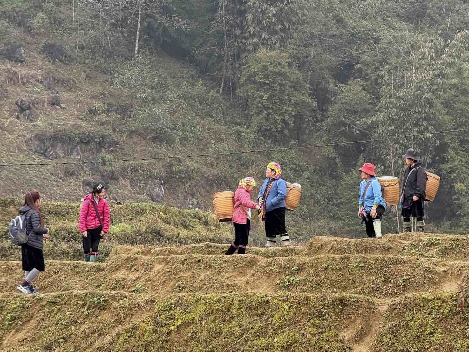 Black Hmong women working in the fields near Ta Phin village