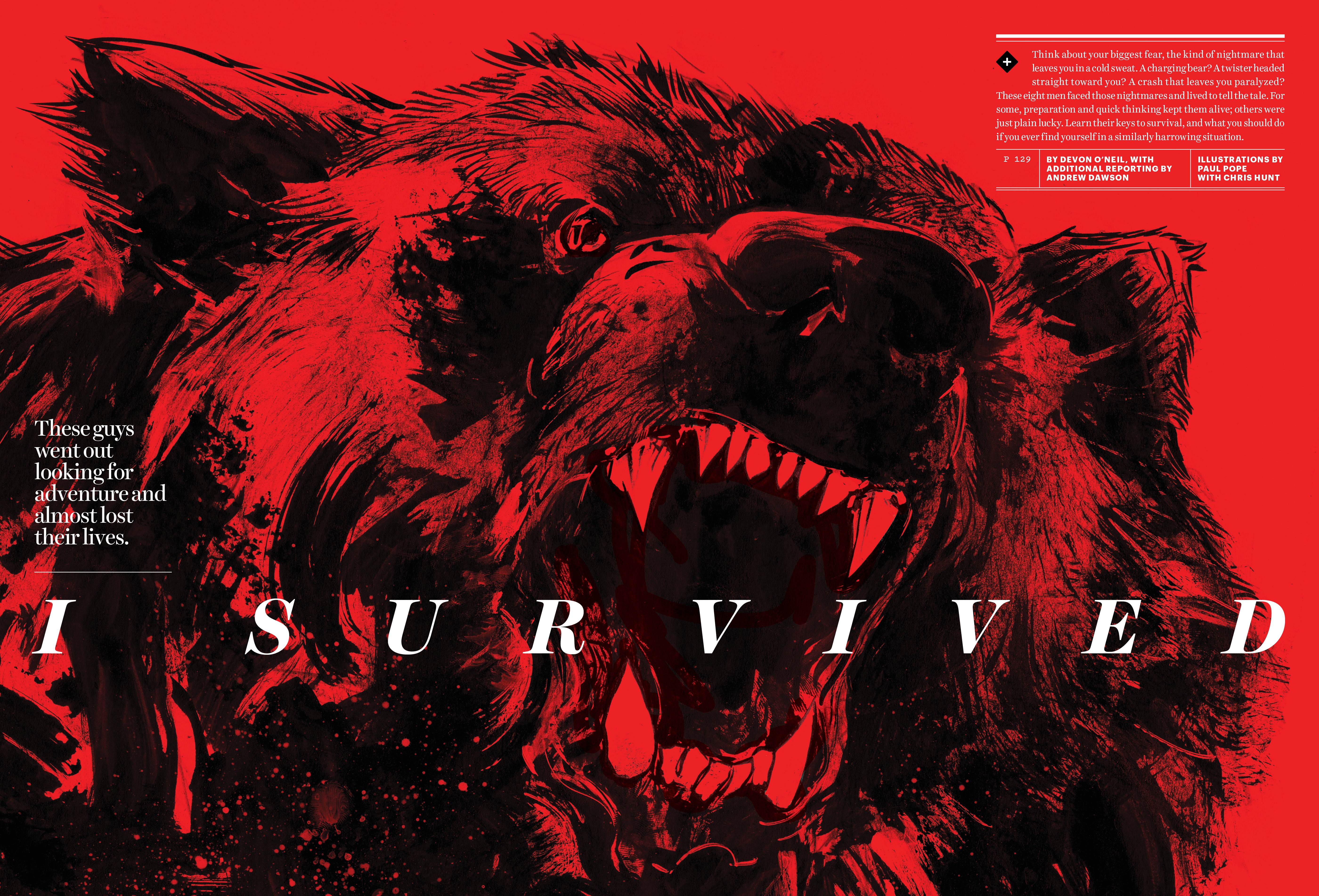 A layout of an vicious bear illustration done in red and black.