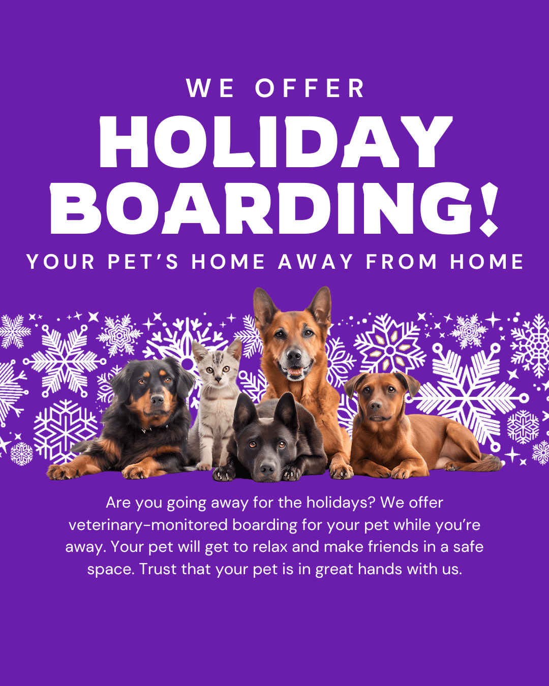 Holiday boarding services