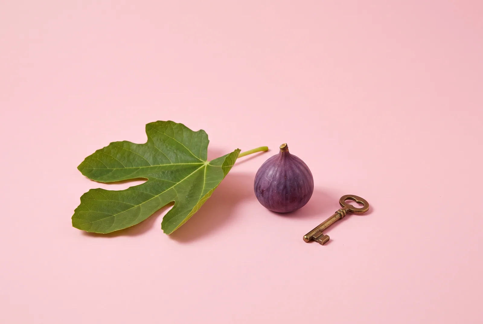 Fig leaf lying beside a ripe fig and a small brass key on a pastel pink backdrop, representing confession and grace in a Christian accountability app