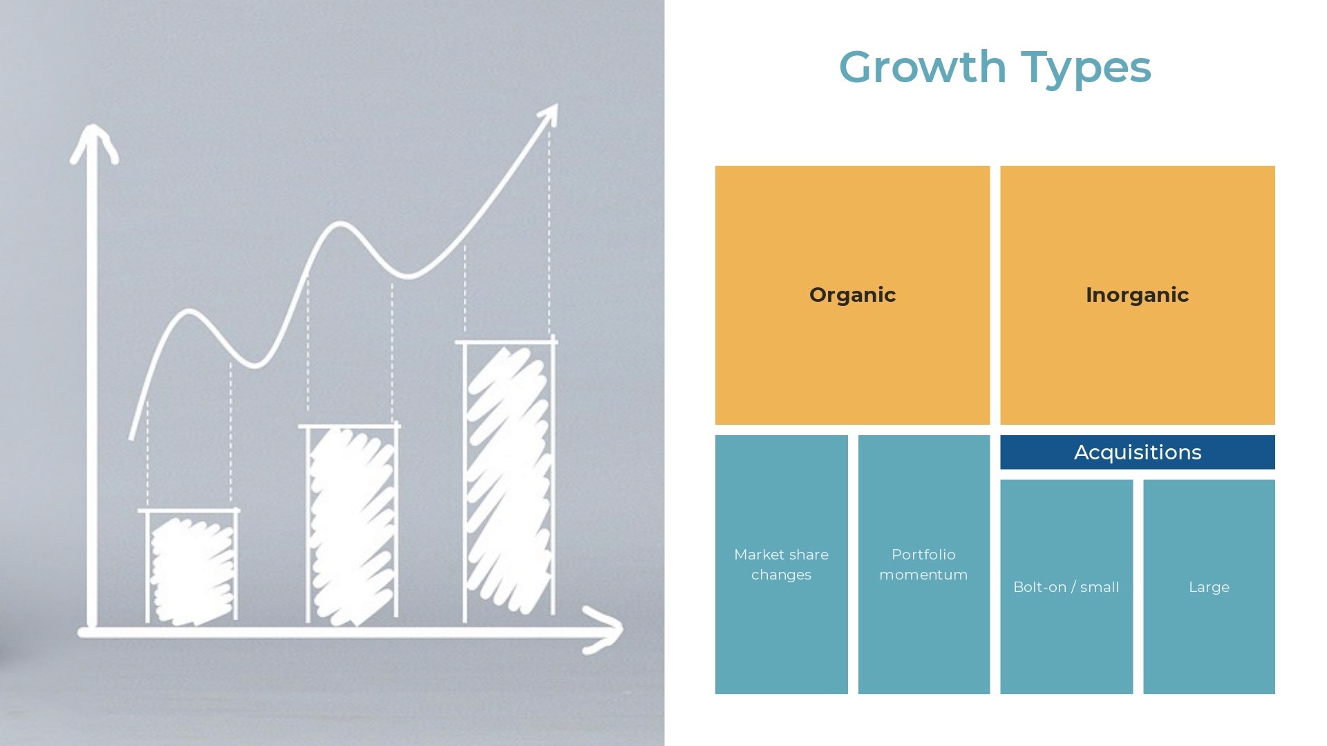 business growth types