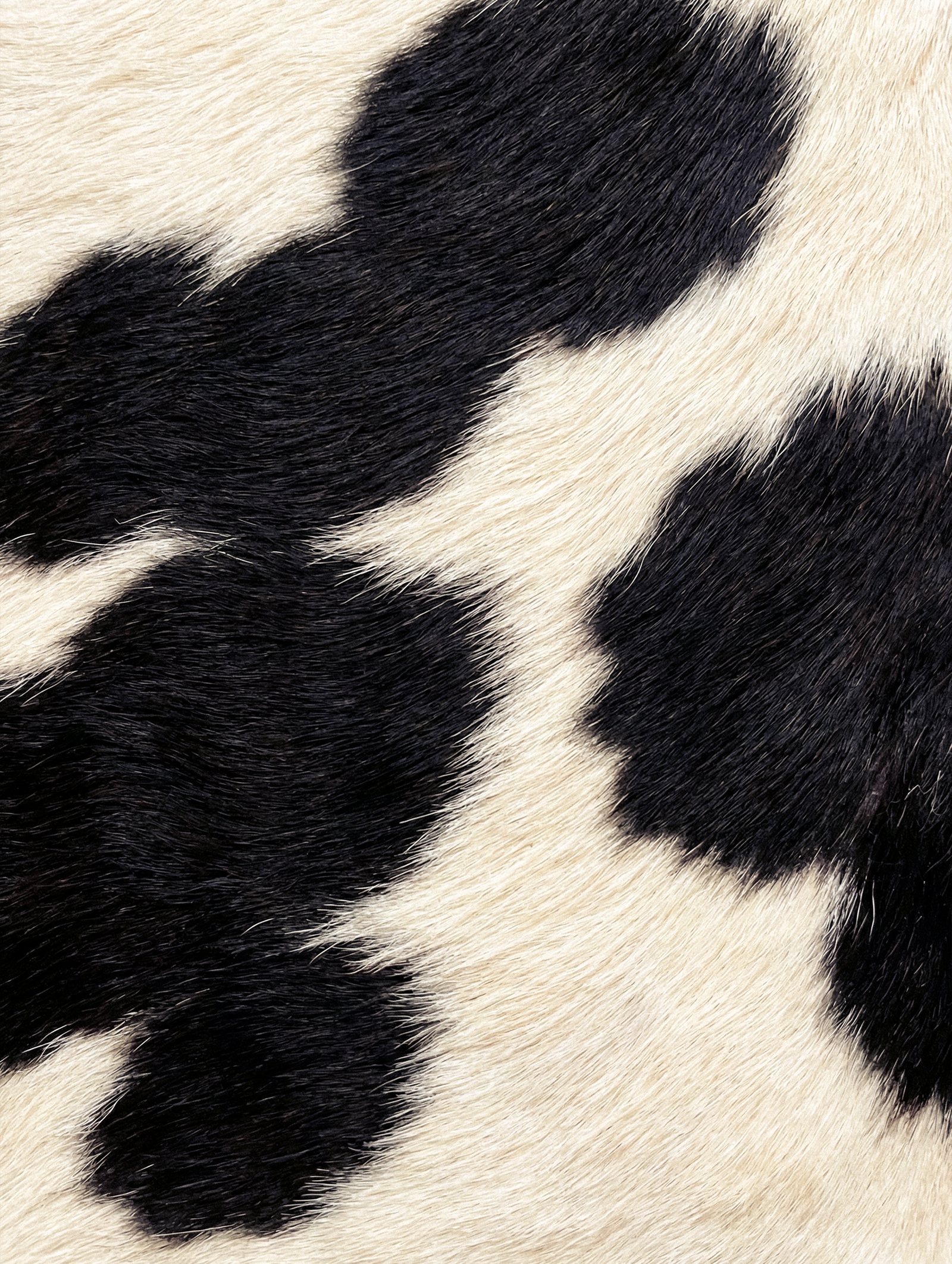 Black and cream hide with ink-like patches