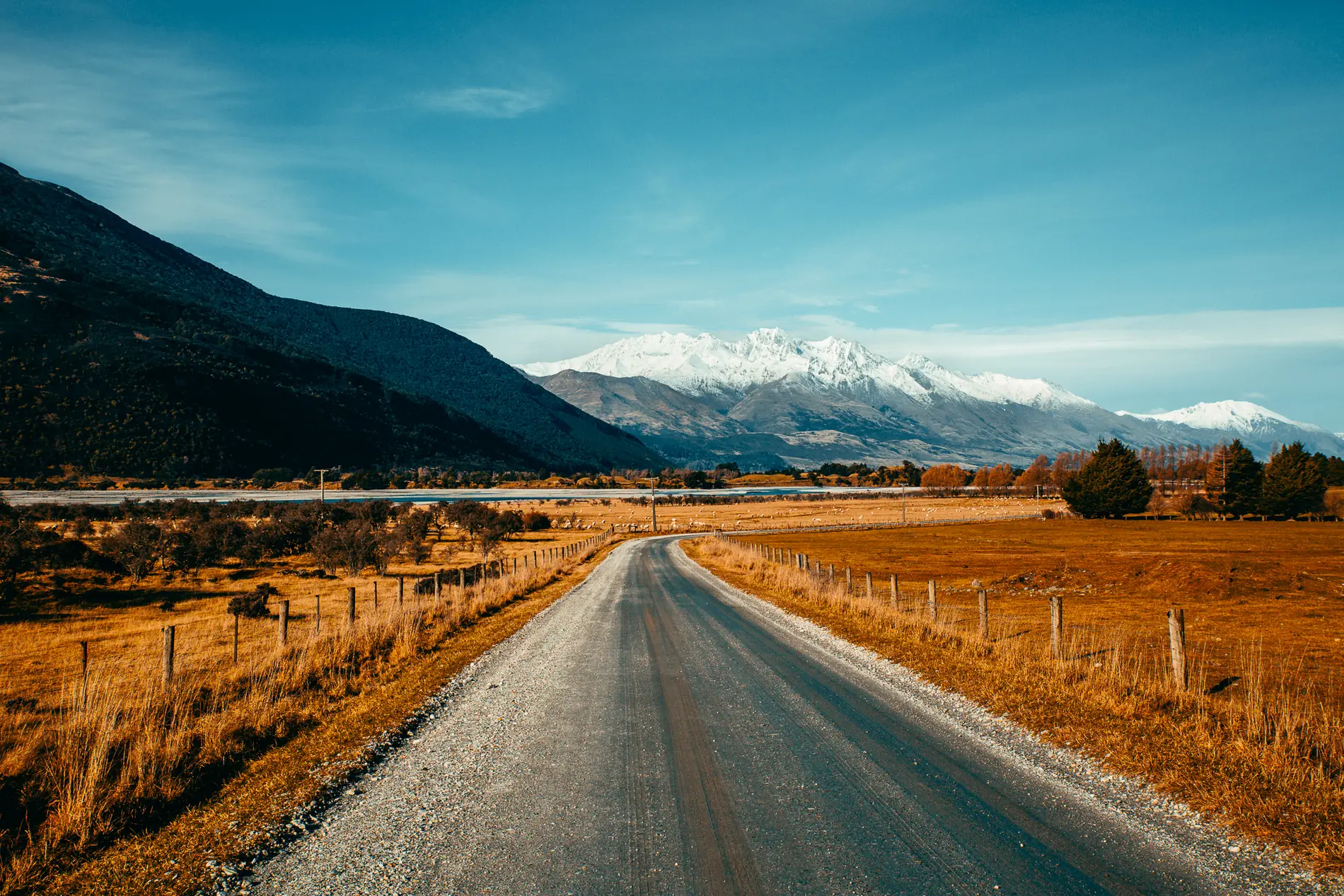A gravel road running through golden tussock paddocks toward snow-capped peaks