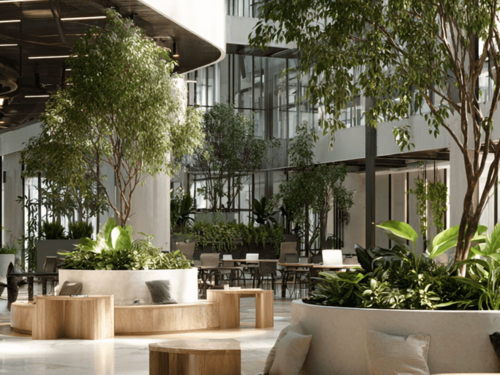 zielone biuro pełne roślin