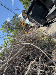 Emergency Storm Cleanup Albany