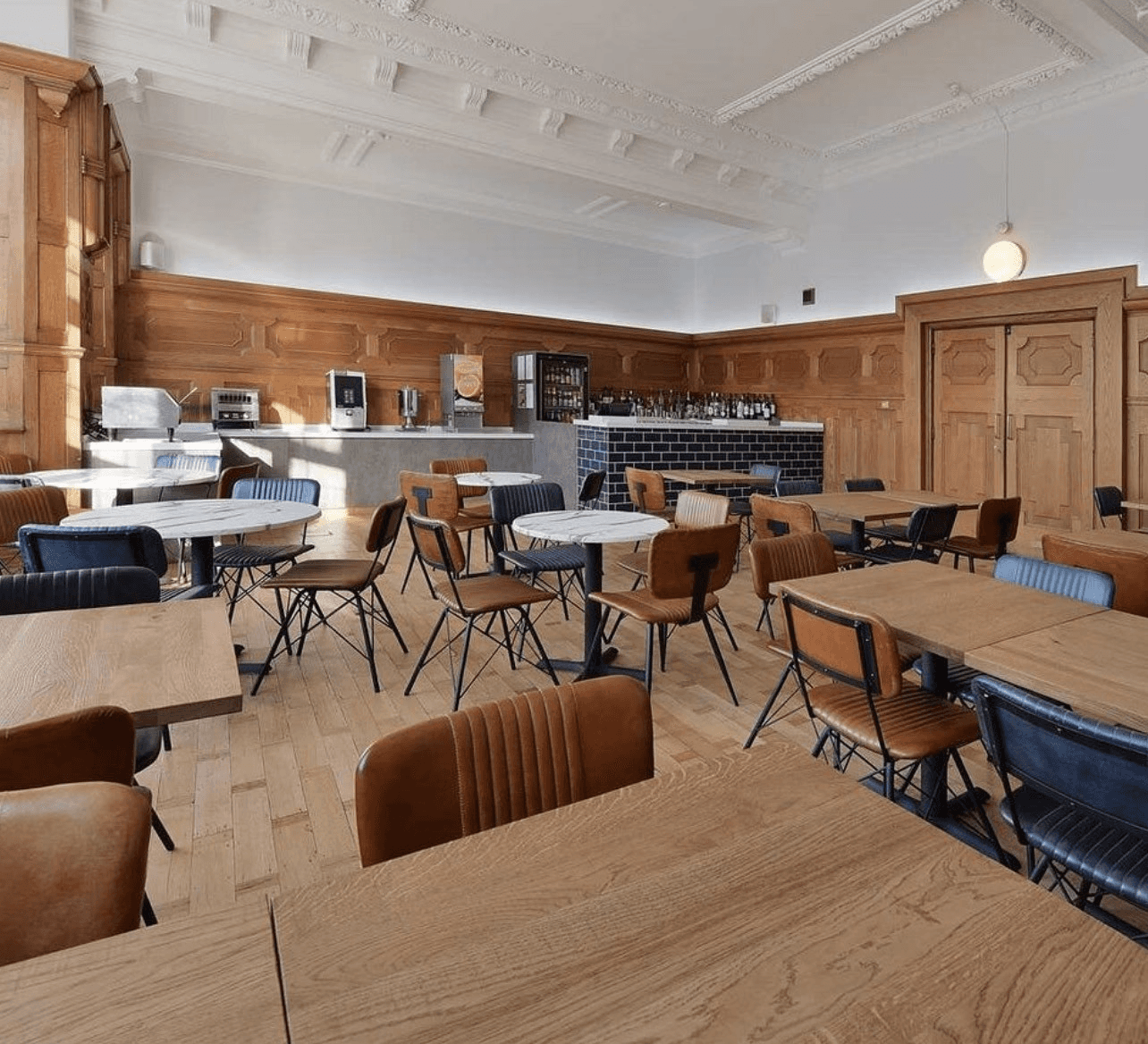 Close-up of a dark green leaf showing its textured surface and central vein against a muted background.