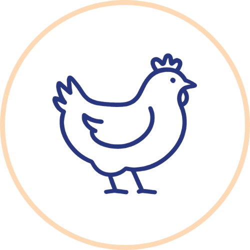 Poultry
