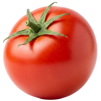 Ripe red tomato beside a halved tomato