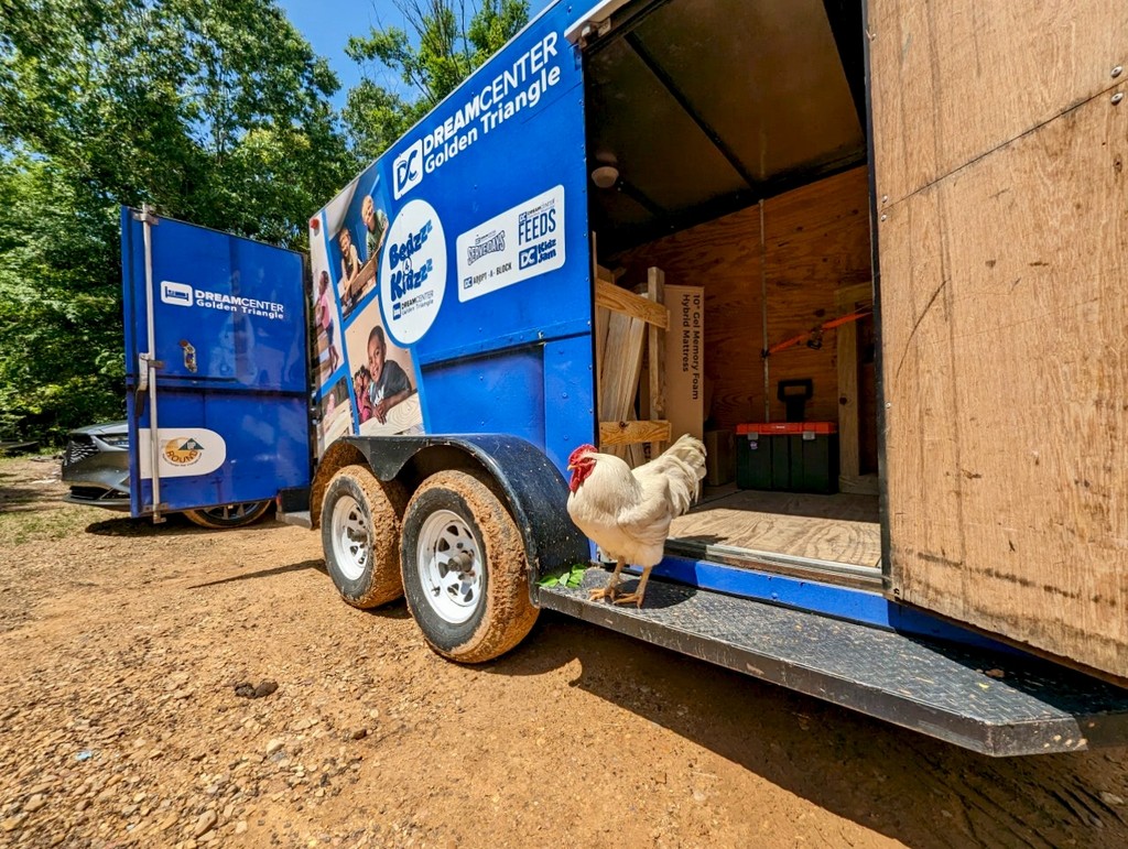 A lake surrounded by trees with a mountain in the distance