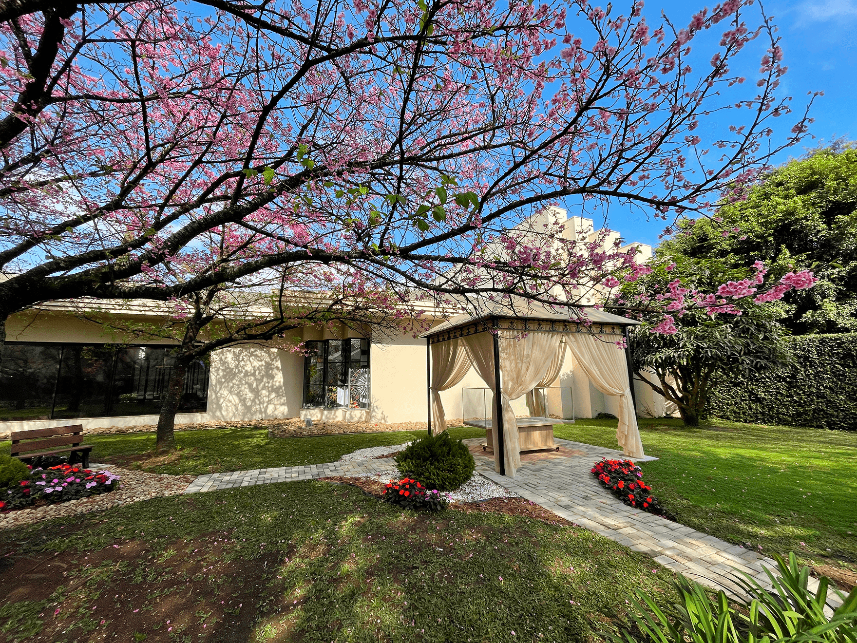 man in white shirt carrying girl in gray shirt