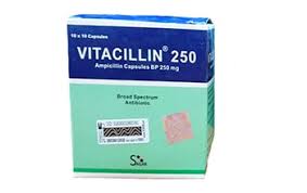 Vitacillin 250 (Ampicillin 250mg)