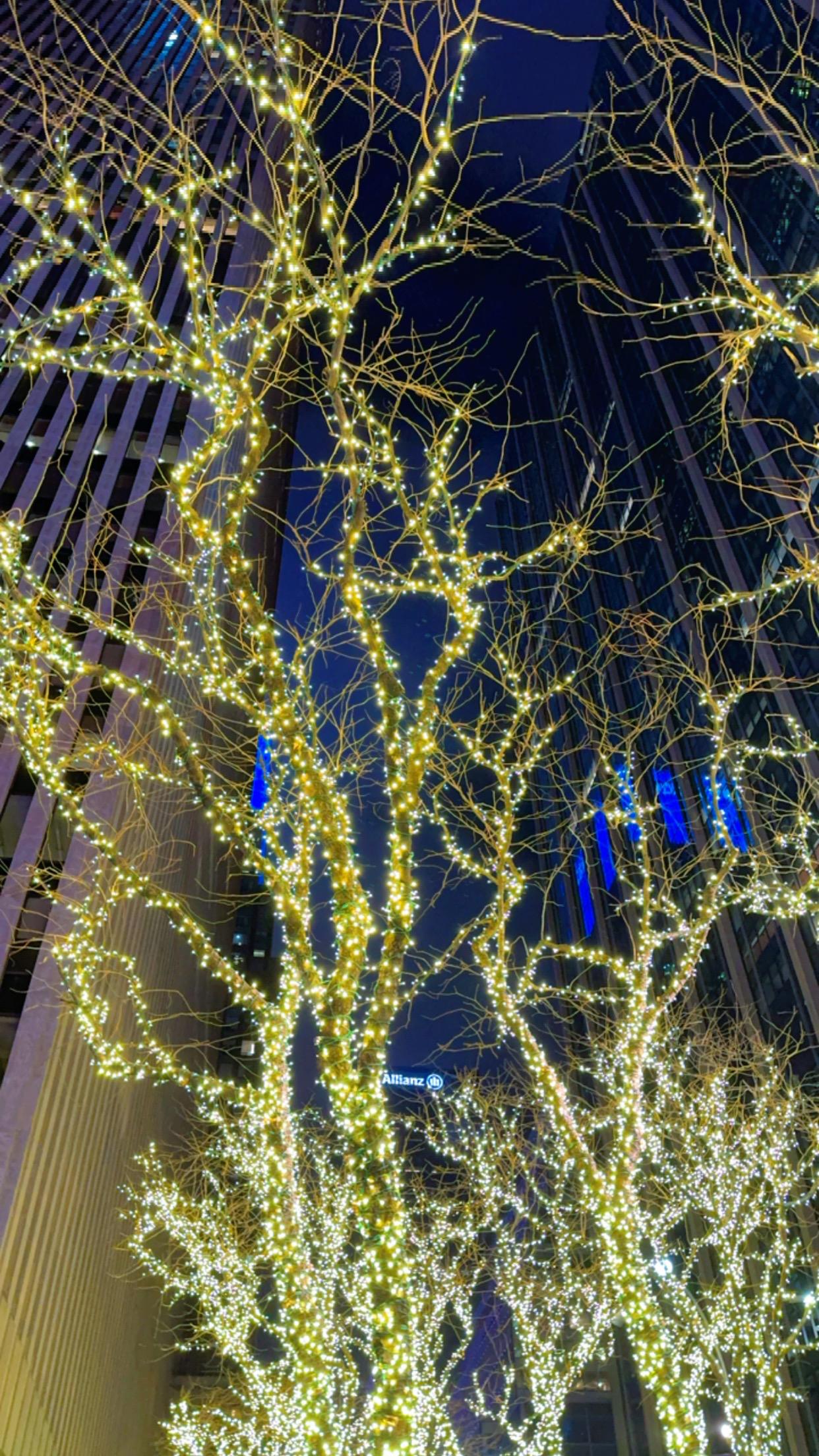 LIGHTS