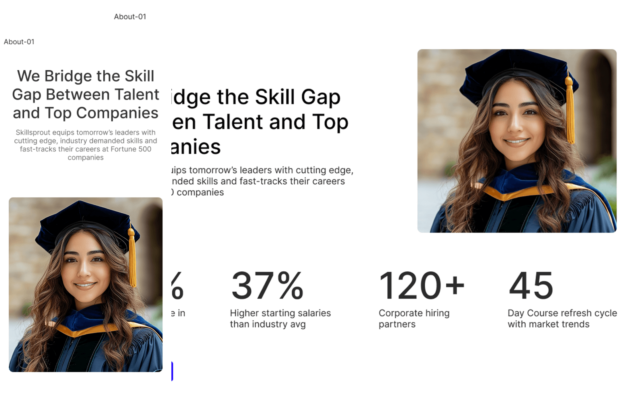 bout section design showcasing modern website layout with image and content