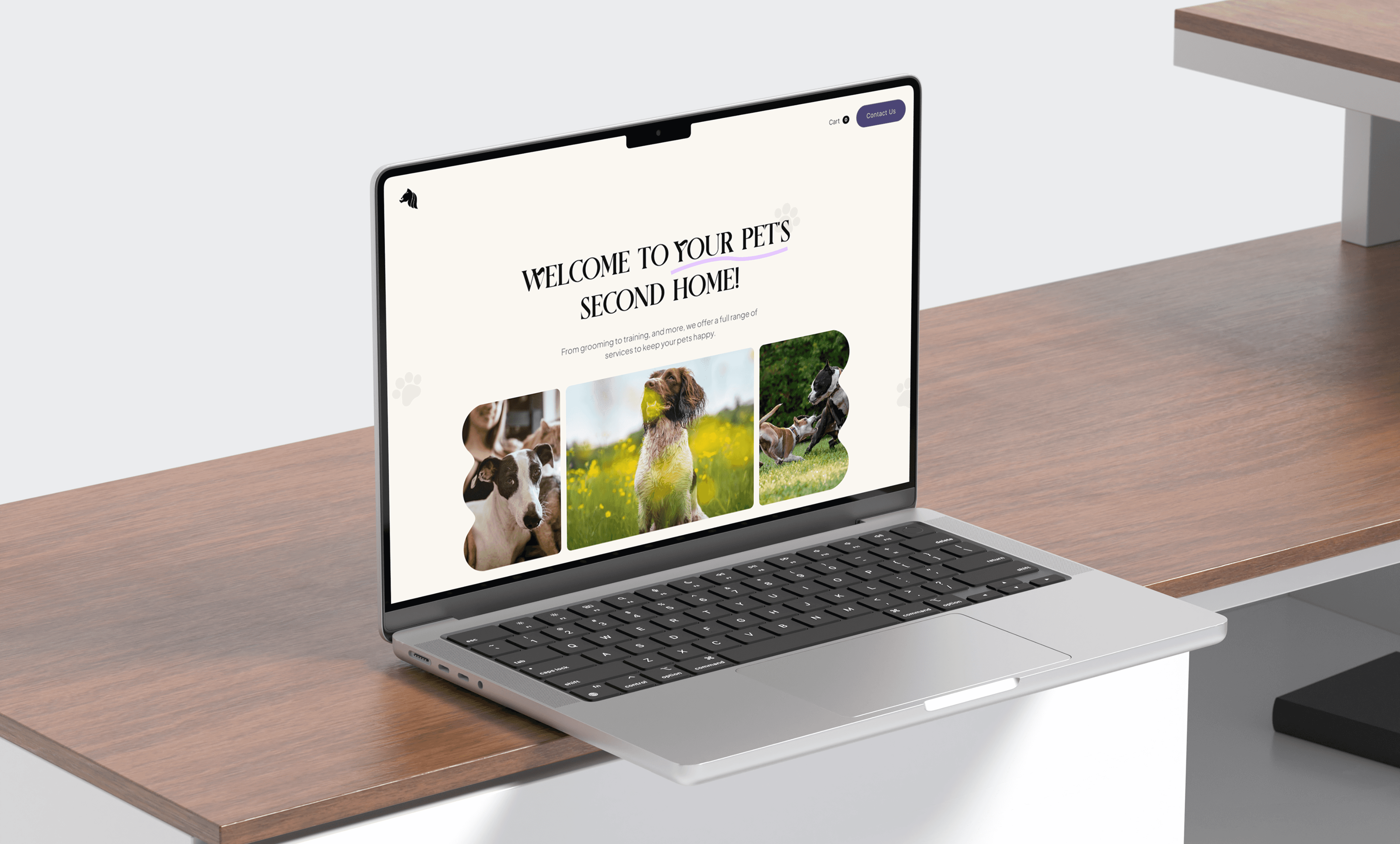 "MacBook on a wooden desk displaying the Baagh pet care website homepage. The site features pet adoption, grooming, and training services with a modern, user-friendly design."