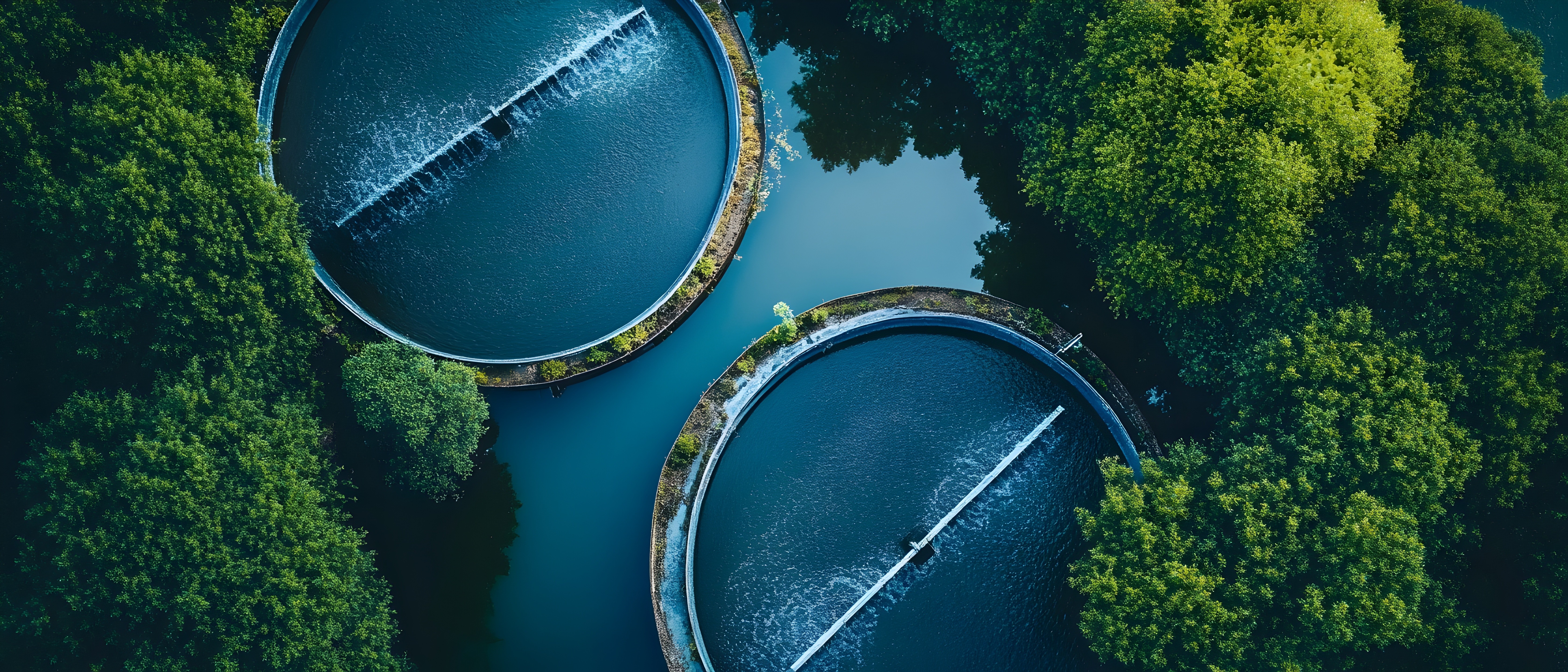 Aerial view of circular water treatment basins surrounded by greenery, symbolising environmental management, resource stewardship, and sustainable operations.