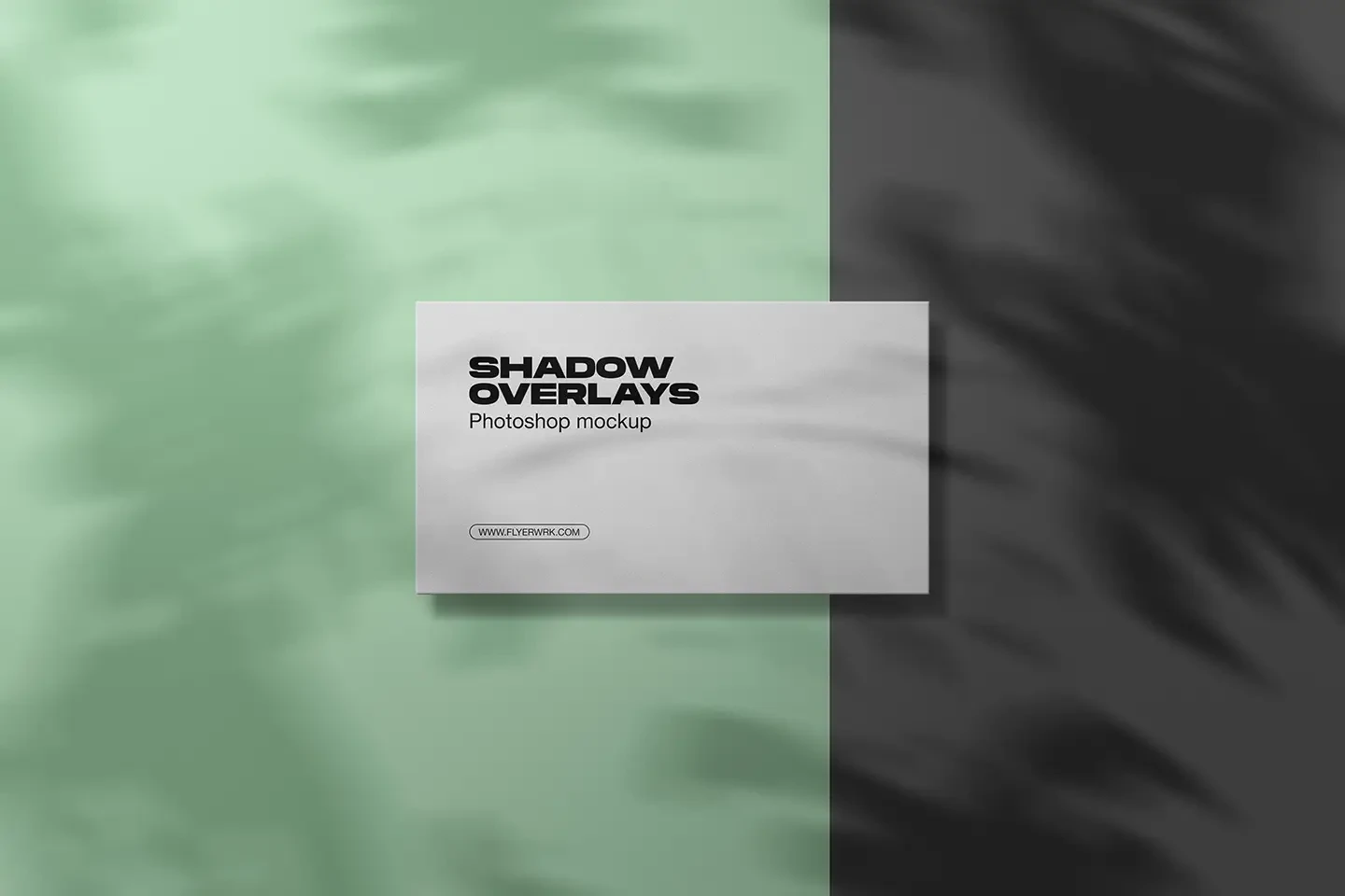 Shadow Overlays Scene Creator featuring a clean white business card mockup with organic botanical leaf shadows