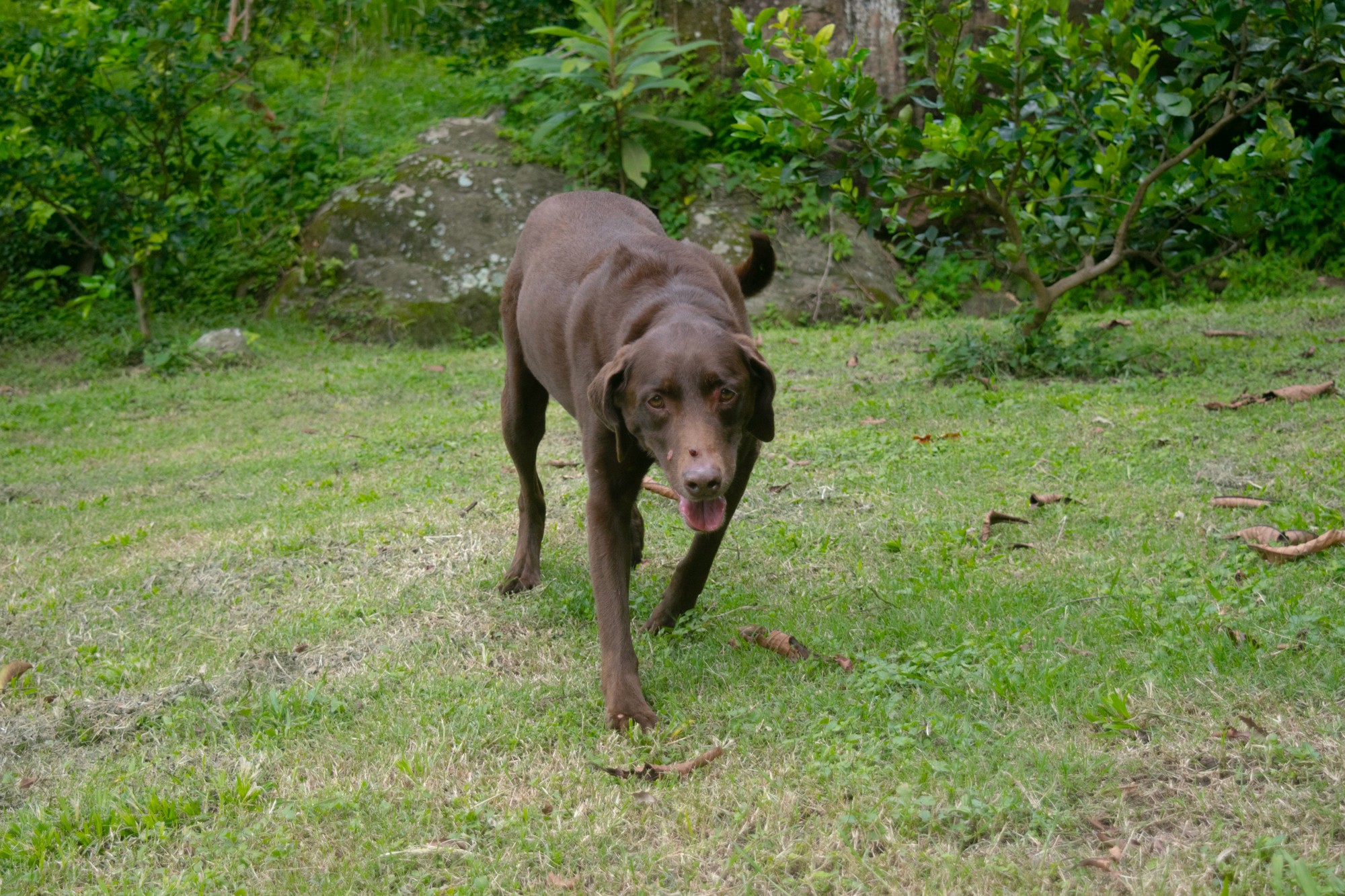 a woman with flowers