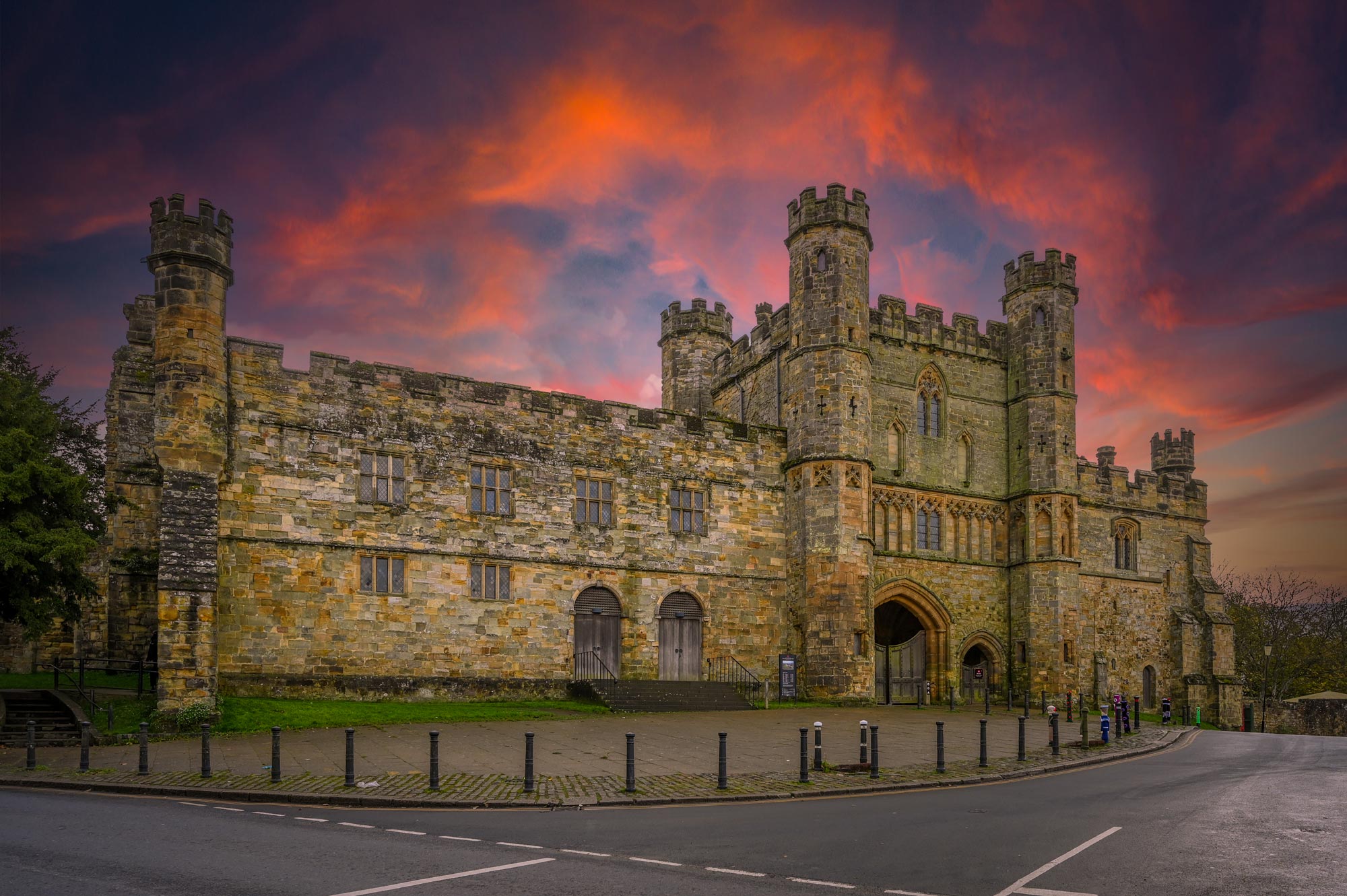 a path in a wooded area surrounded by trees