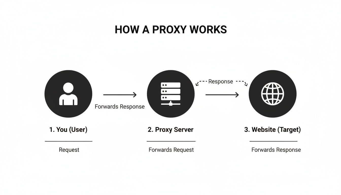 Diagram illustrating how a proxy server works, showing user, proxy, and website interaction with requests and responses.