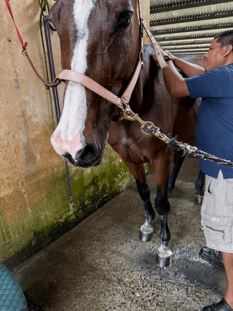A young person with curly hair smiles at the camera while sitting in front of a laptop against a dark background.