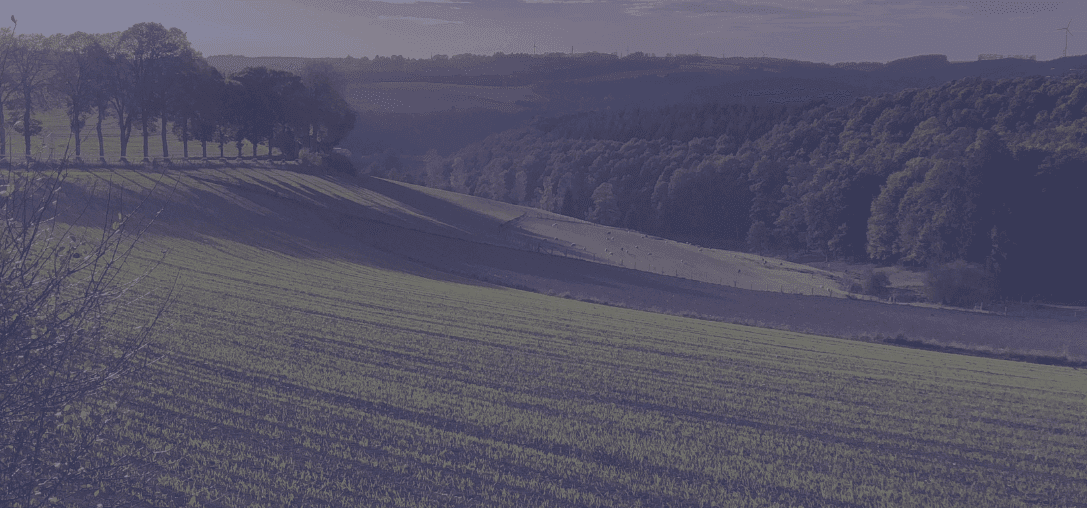 louer un terrain pour installation photovoltaïque