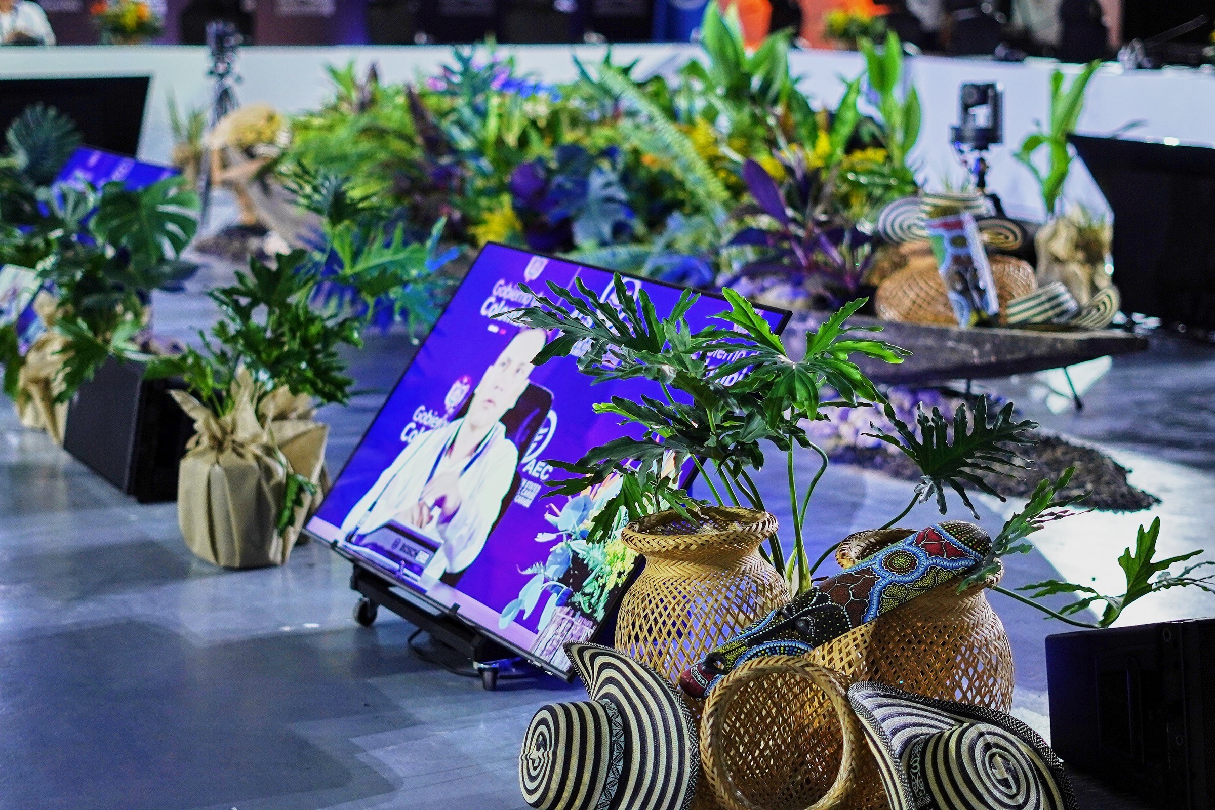 Decoración con plantas y canastos artesanales sobre una mesa de la X Cumbre de la AEC
