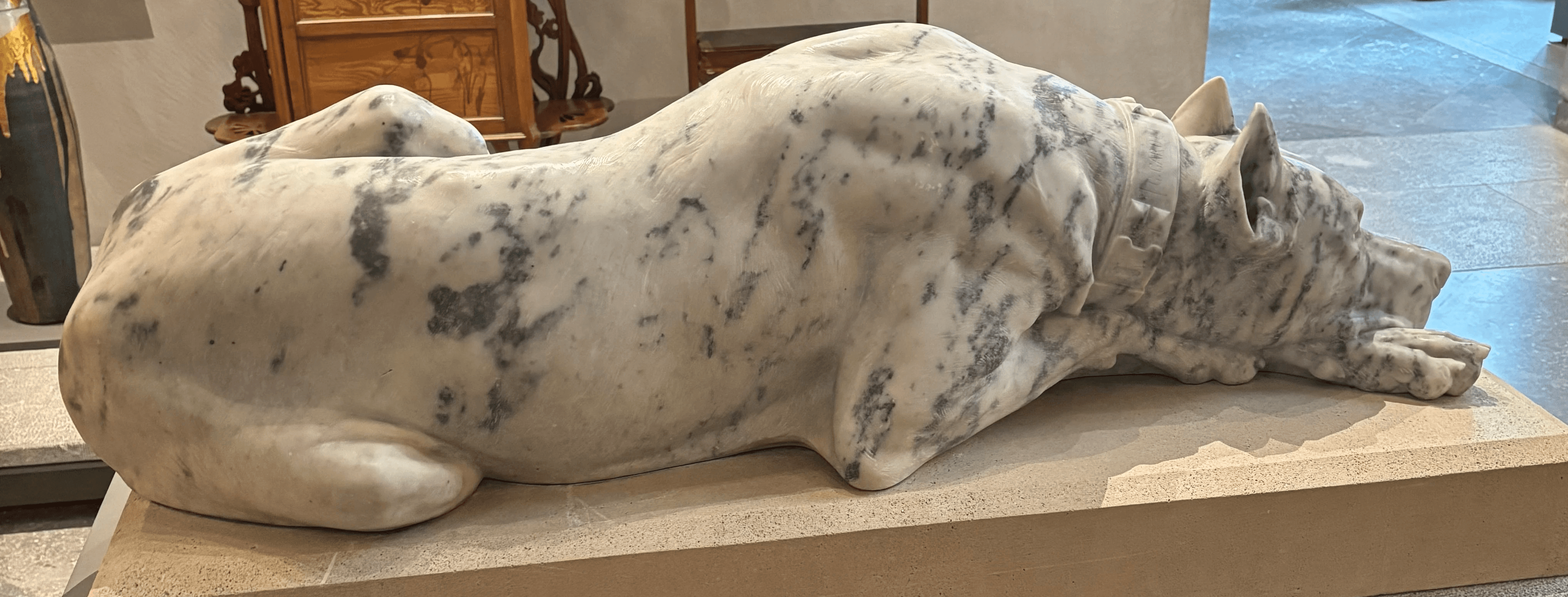 Vue latérale de la sculpture "Chien danois" de Georges Gardet (1898), marbre, Musée des Beaux-Arts de Lyon. Détail du dos et de la croupe de l'animal, mobilier Art Nouveau en arrière-plan.