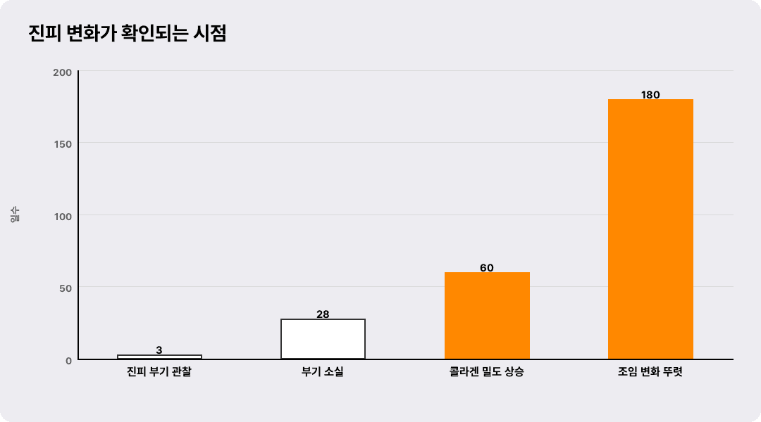 진피 변화가 확인되는 시점