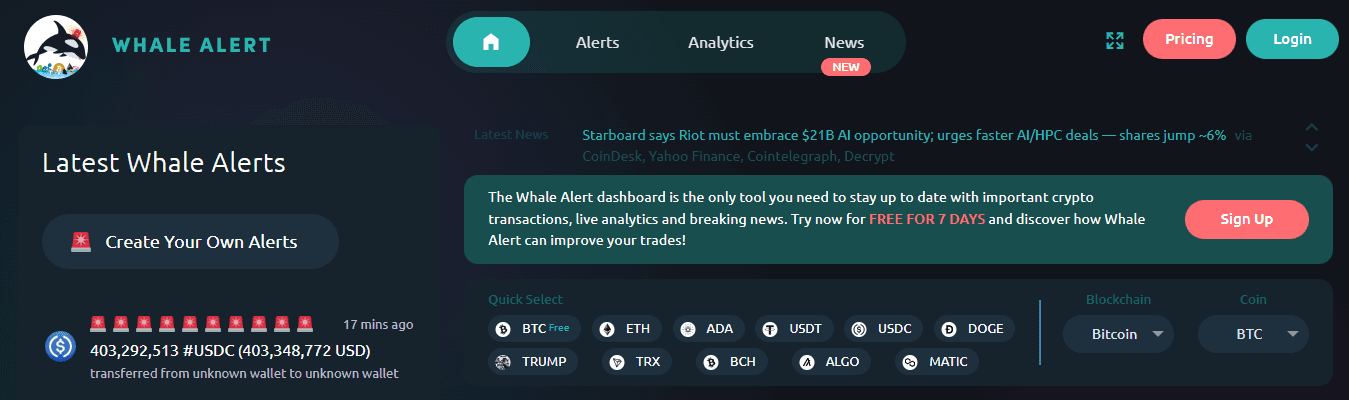 Whale Alert