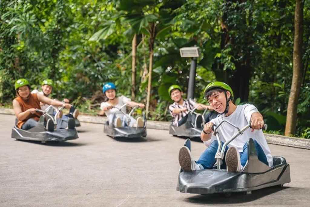 Skyline Luge Singapore