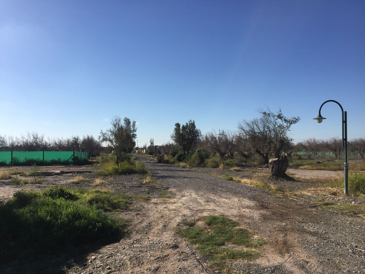 venta de 3 lotes en san juan de los olivos 