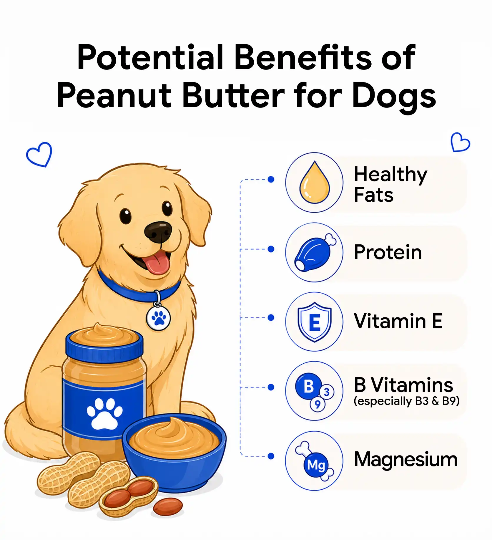 An infograhic showing the potential benefits of peanut butter for dogs.