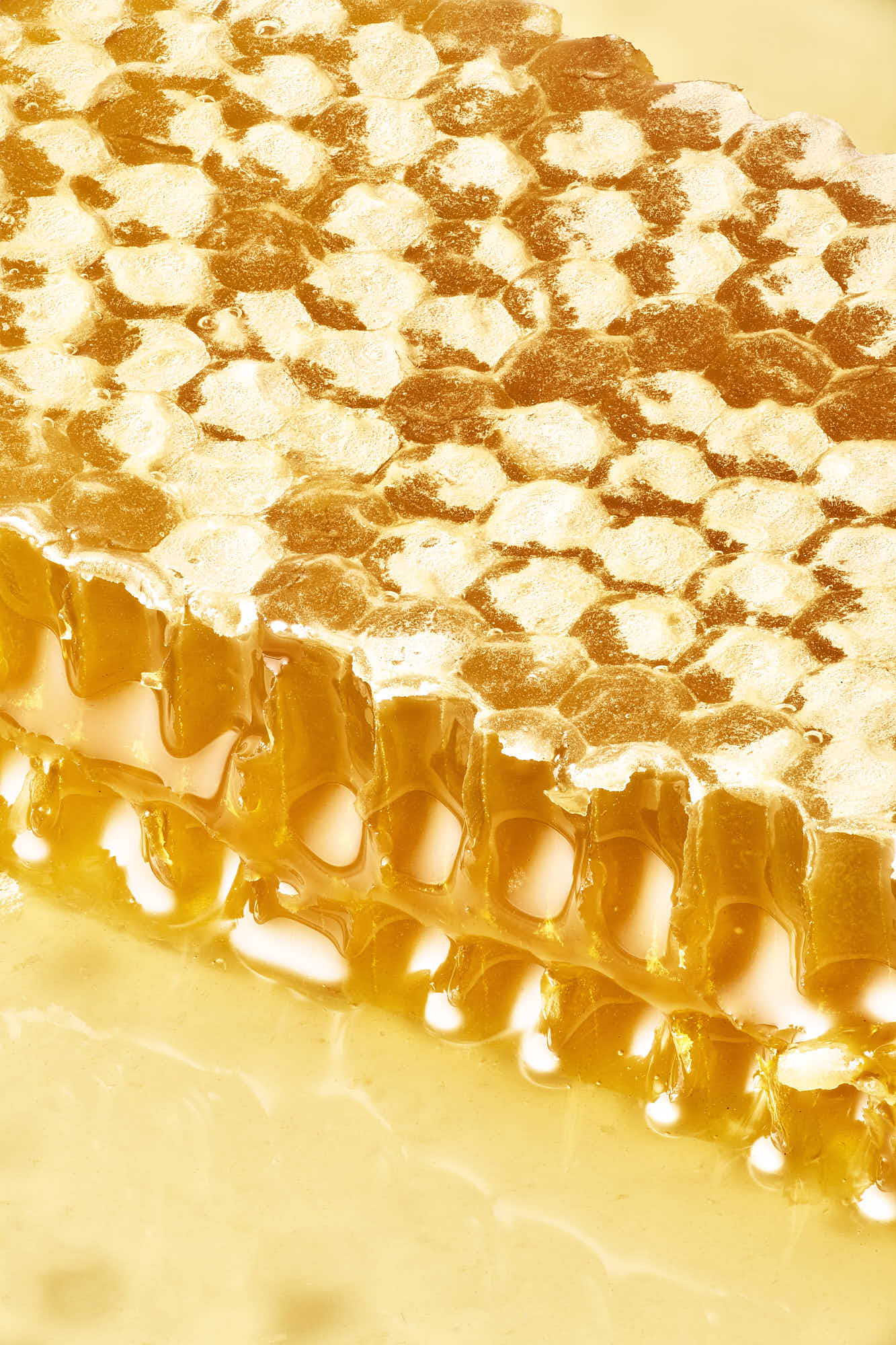 Golden honeycomb close-up with glistening honey dripping.