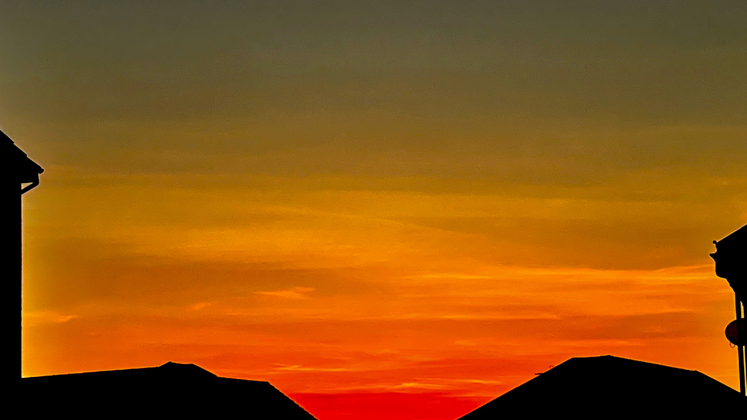 Tree branches reach towards a clear, blue sky.
