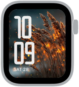 firefly fm Apple Watch face preview 3 featuring summer.