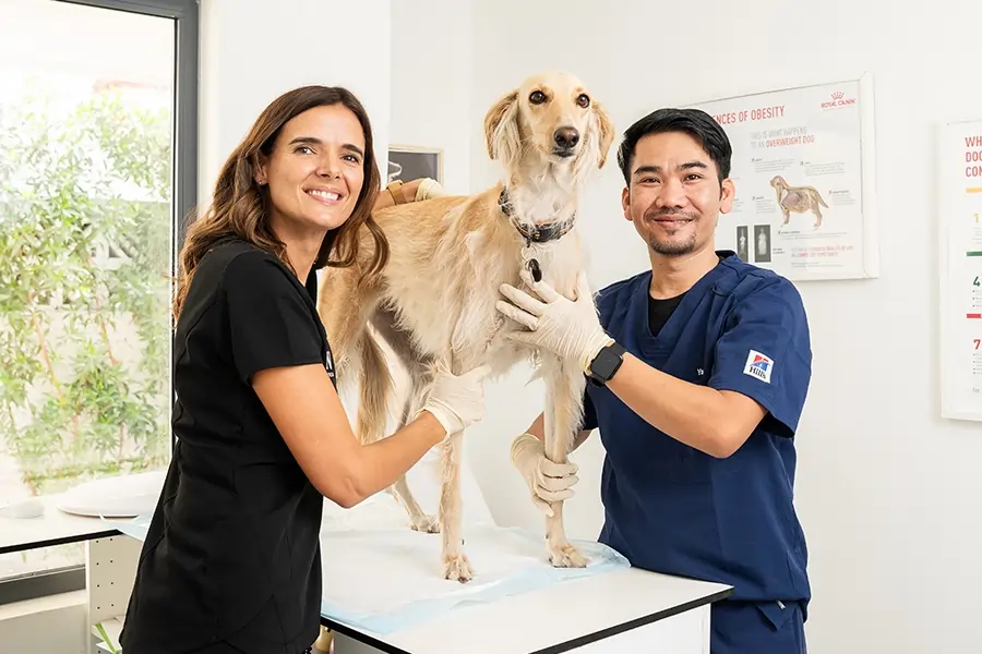 We provide expert imaging services at our pet clinic, using modern radiology equipment for accurate diagnosis.