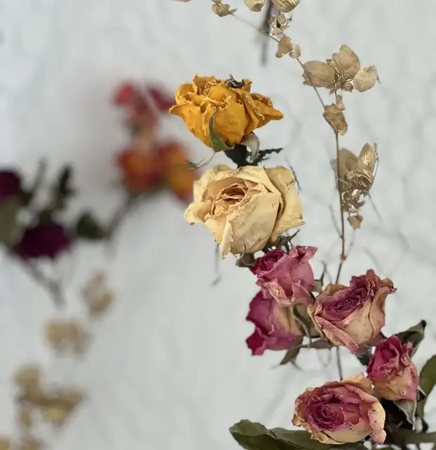 Ramillete de rosas secas en tonos cálidos para propuesta visual de marca con estética natural y nostálgica.