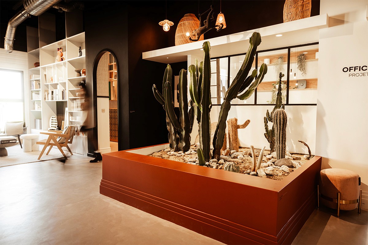showroom architecture intérieure, showroom matériaux, showroom design, matériauthèque, espace inspiration, showroom décoration, showroom mobilier, architecture intérieure Montpellier, agence d’architecture, design d’intérieur, espace de conseil, projet clé en main, expérience client, showroom haut de gamme.  showroom Montpellier, matériauthèque Montpellier, showroom architecture Montpellier, showroom décoration Montpellier, showroom mobilier Montpellier, agence d’architecture Montpellier, architecte d’intérieur Montpellier, espace d’inspiration Montpellier, showroom Hérault, design intérieur Montpellier.  300 m² d’exposition, espace d’exposition, showroom de 300 m², parcours client, espace immersif, expérience showroom, lieu de découverte, univers matériaux, espace conseil, accompagnement personnalisé, lieu d’inspiration, espace professionnel, concept store architecture.  architecture biophilique, végétalisation intérieure, jardin intérieur, patio intérieur, cactus géants, paysage intérieur, nature dans l’architecture, design biophilique, connexion au vivant, bien-être au travail, espace apaisant, architecture sensorielle.  espace inspiration, lieu de création, univers créatif, showroom expérientiel, immersion architecturale, découverte des matériaux, parcours client immersif, expérience sensorielle, design émotionnel, architecture du bien-être, lieu d’échange et de conception.  matériauthèque, bibliothèque de matériaux, échantillons matériaux, palette de matières, textures et matières, matériaux naturels, matériaux nobles, matériaux durables, finitions architecturales, matériaux haut de gamme, sélection de matériaux, conseil matériaux.  bois naturel, pierre naturelle, travertin, marbre véritable, céramique, zelliges, terrazzo, métal, textiles d’ameublement, matériaux authentiques, matériaux premium, matières décoratives, finitions sur mesure.  architecture intérieure, décoration intérieure, design d’espace, projet résidentiel, rénovation haut de gamme, construction neuve, habitat d’exception, conception sur mesure, architecture contemporaine, aménagement intérieur personnalisé.  mobilier sur mesure, mobilier design, agencement personnalisé, mobilier intégré, rangements sur mesure, menuiserie sur mesure, design fonctionnel, optimisation des espaces, architecture intérieure haut de gamme, détail architectural.  moodboard, planche tendance, direction artistique, harmonie des matières, choix des couleurs, ambiance intérieure, identité du projet, décoration sur mesure, personnalisation des espaces, cohérence architecturale, design global.  accompagnement client, conseil en architecture intérieure, conseil décoration, choix des matériaux, sélection du mobilier, accompagnement de projet, expertise architecturale, expérience personnalisée, conception collaborative, suivi de projet.  artisanat, savoir-faire, fabrication locale, artisans partenaires, excellence des finitions, détail architectural, qualité des matériaux, design raffiné, architecture responsable, circuits courts, création sur mesure.  architecte Montpellier, architecte d’intérieur Montpellier, showroom architecture Montpellier, showroom décoration Montpellier, matériauthèque Montpellier, rénovation haut de gamme Montpellier, agence d’architecture Montpellier, architecte Hérault.  architecte Nîmes, architecte d’intérieur Nîmes, showroom matériaux Nîmes, showroom décoration Nîmes, agence d’architecture Nîmes, architecte Gard.  architecte Perpignan, architecte d’intérieur Perpignan, showroom matériaux Perpignan, showroom décoration Perpignan, agence d’architecture Perpignan, architecte Pyrénées-Orientales.  architecte Occitanie, showroom architecture intérieure, matériauthèque de 300 m², showroom matériaux et mobilier, espace inspiration, architecture biophilique, jardin intérieur, cactus géants, architecture intérieure et décoration, matériaux nobles, conseil en matériaux, accompagnement personnalisé, choix des finitions, design d’intérieur haut de gamme, showroom Montpellier, expérience client immersive, rénovation haut de gamme, habitat d’exception, agence d’architecture Montpellier, concept store architecture et design, sélection de matériaux sur mesure, espace de création et d’inspiration.