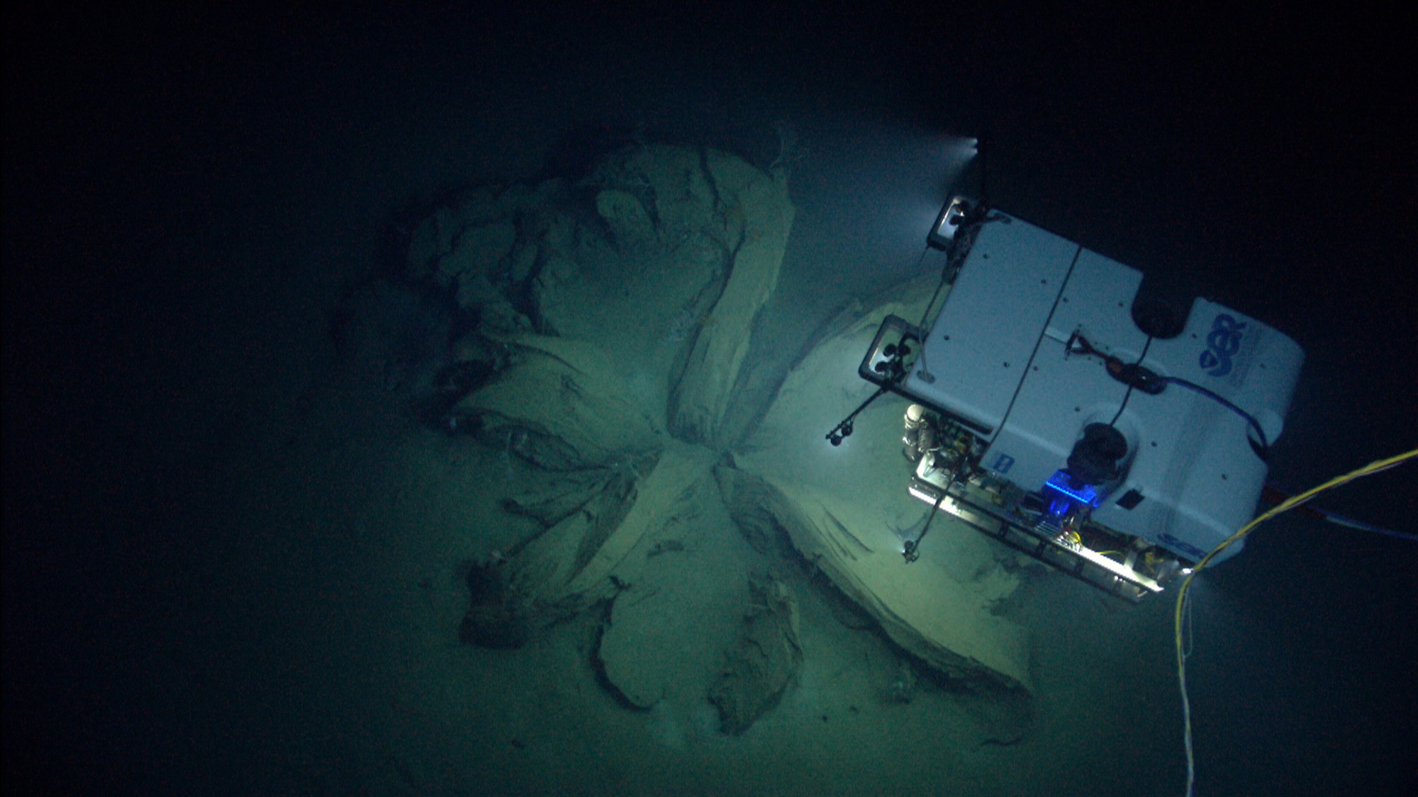Deep Discoverer ROV surveying a flower-shaped sediment formation on the dark deep-sea floor