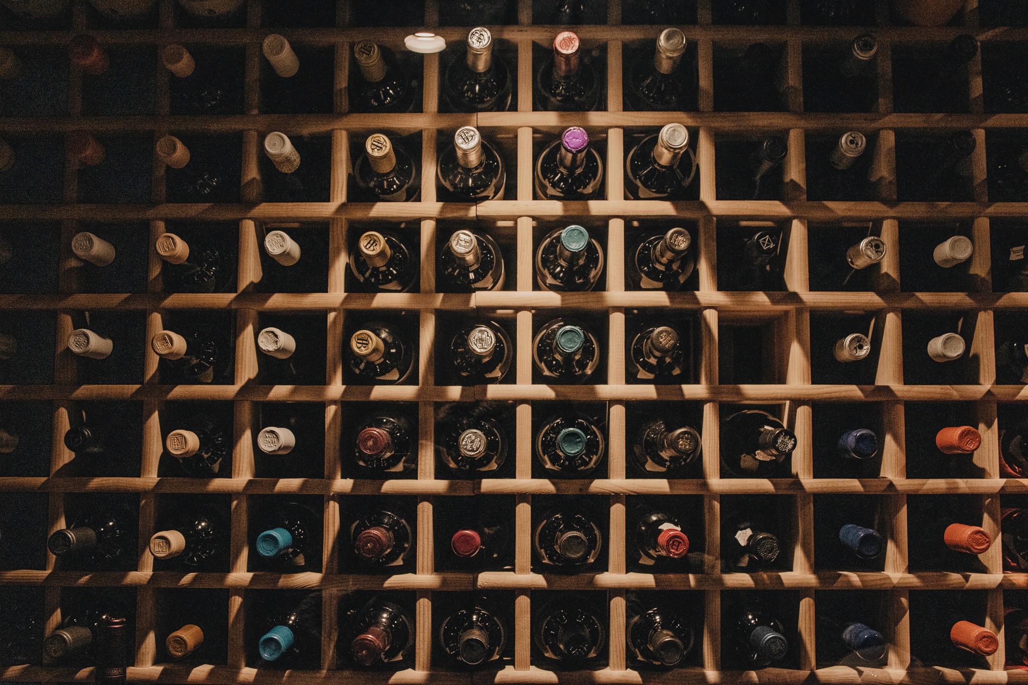 A close-up of a hand wearing multiple decorative rings against a blue background.