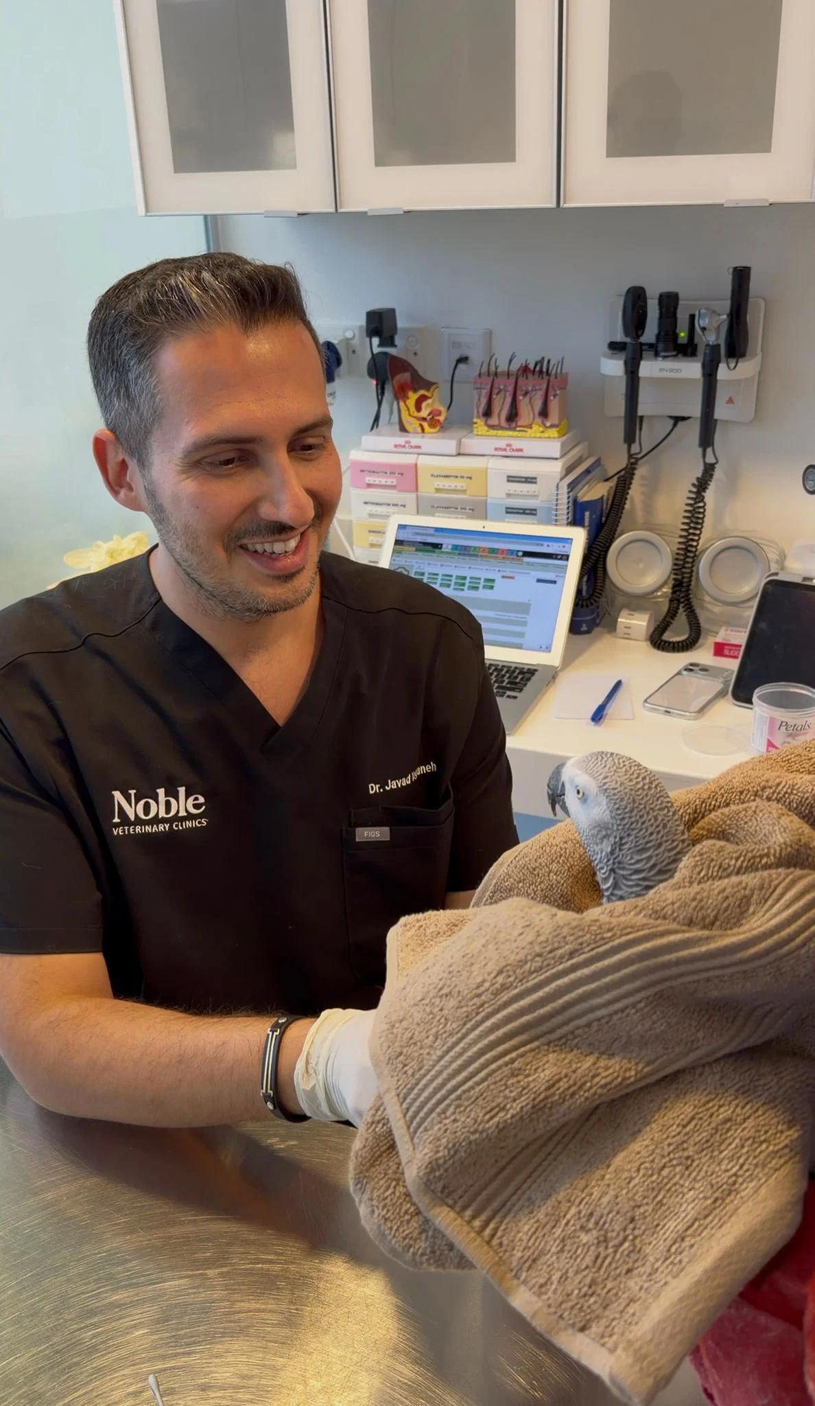 Our pet dermatologist checks a dog for allergy symptoms triggered by various allergens