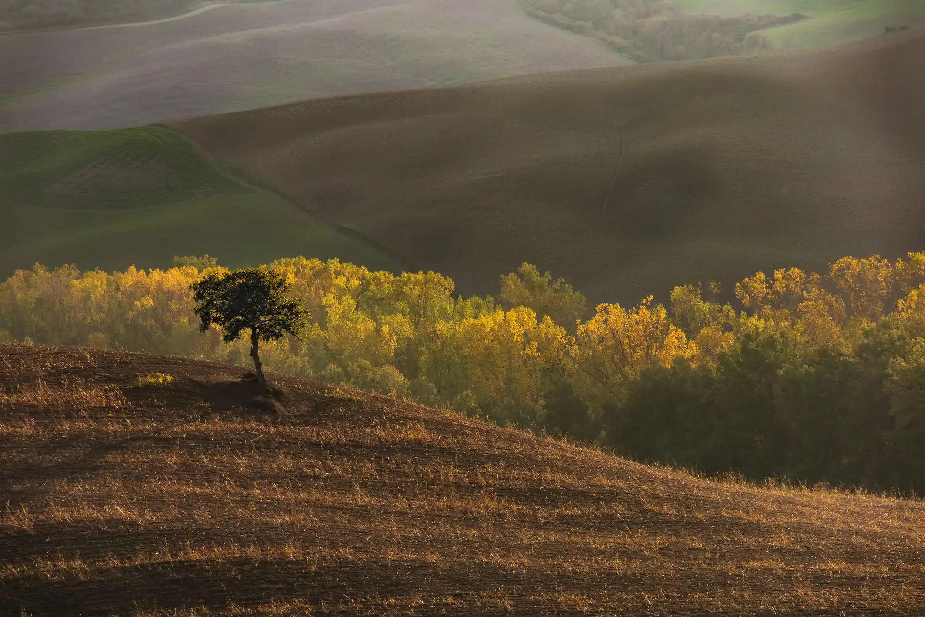 "Coltivare e Nutrire" by Giacomo Tropea