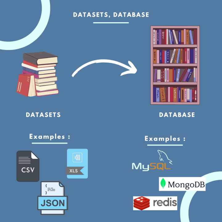 dataset vs. database