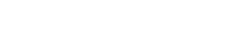 Spacyphy logo
