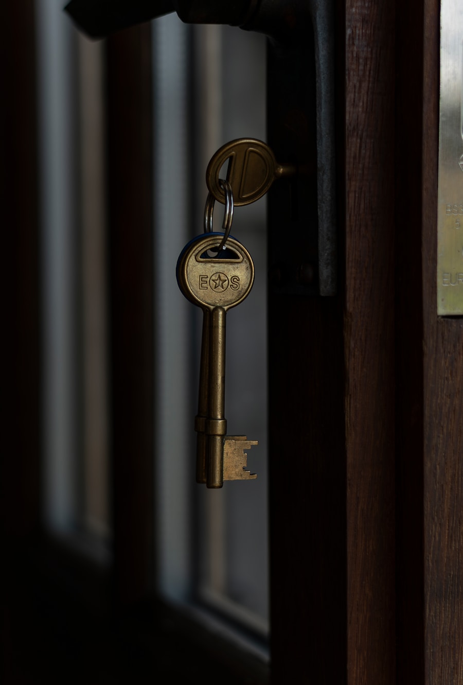 A brass key resting in the lock of a panelled door