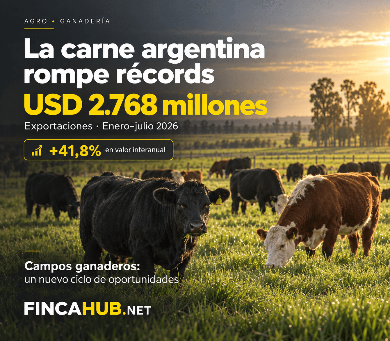 record de exportacion de carne argentina