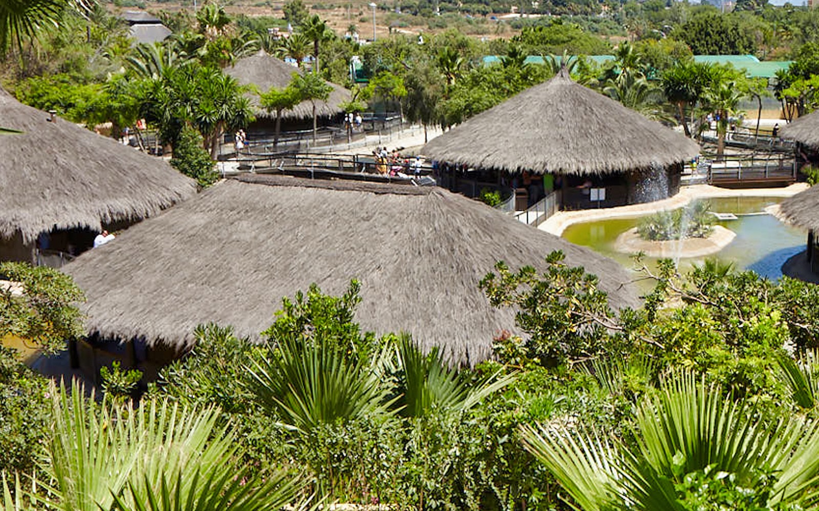 Kolibe s krovovima od slame i bujno zelenilo u Parku krokodila, Španjolska.